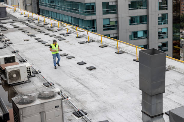 Best Roof Moss and Algae Removal  in Mount Carroll, IL