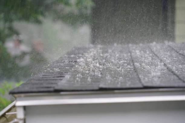 Best Flat Roofing  in Mount Carroll, IL