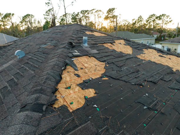 Fast & Reliable Emergency Roof Repairs in Mount Carroll, IL
