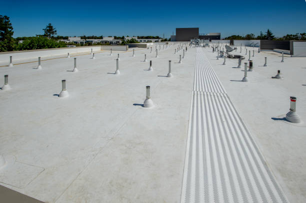 Best Roof Coating and Sealing  in Mount Carroll, IL